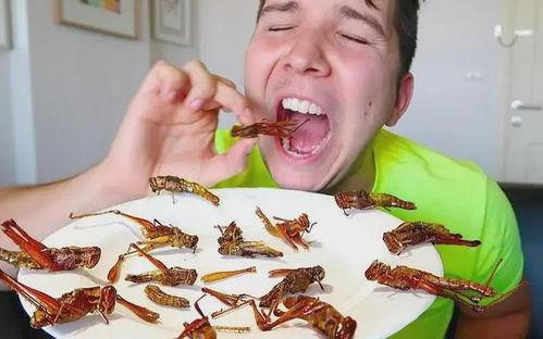 砍瓜会有虫吃吗