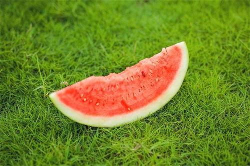 吃瓜吃的嘴发麻