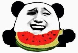 星球满级吃瓜群众,吃瓜群众狂欢记