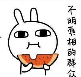 吃瓜挑衅医生小说,吃瓜挑衅背后的真相揭秘