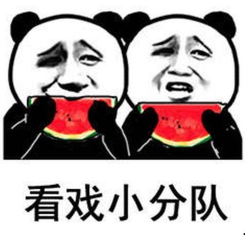 表示吃瓜表情包搞笑,吃瓜表情包的欢乐盛宴