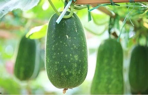 四月份吃瓜,盘点热点事件与幕后真相